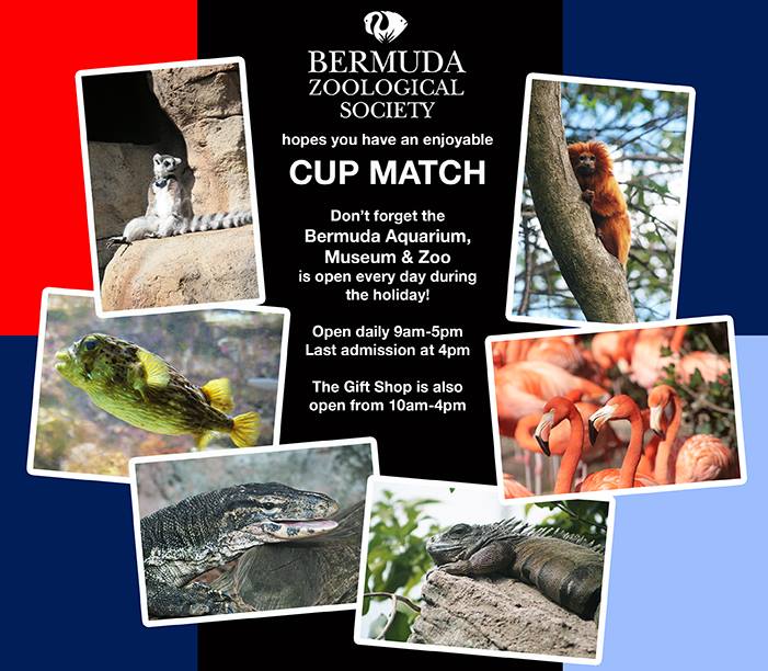 BAMZ Bermuda Open Cup Match