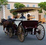 Bermuda horse and carriage Bermuda horse and carriage