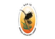 Bermuda African Dance Co.