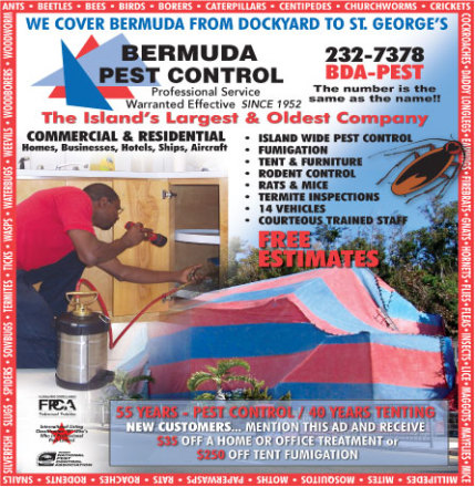 advert