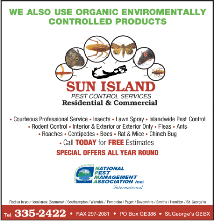 advert