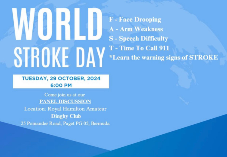 WORLD STROKE DAY PANEL DISCUSSION EVENT 29th October