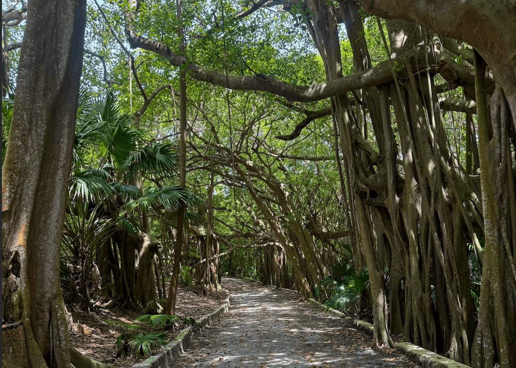 Southlands National Park