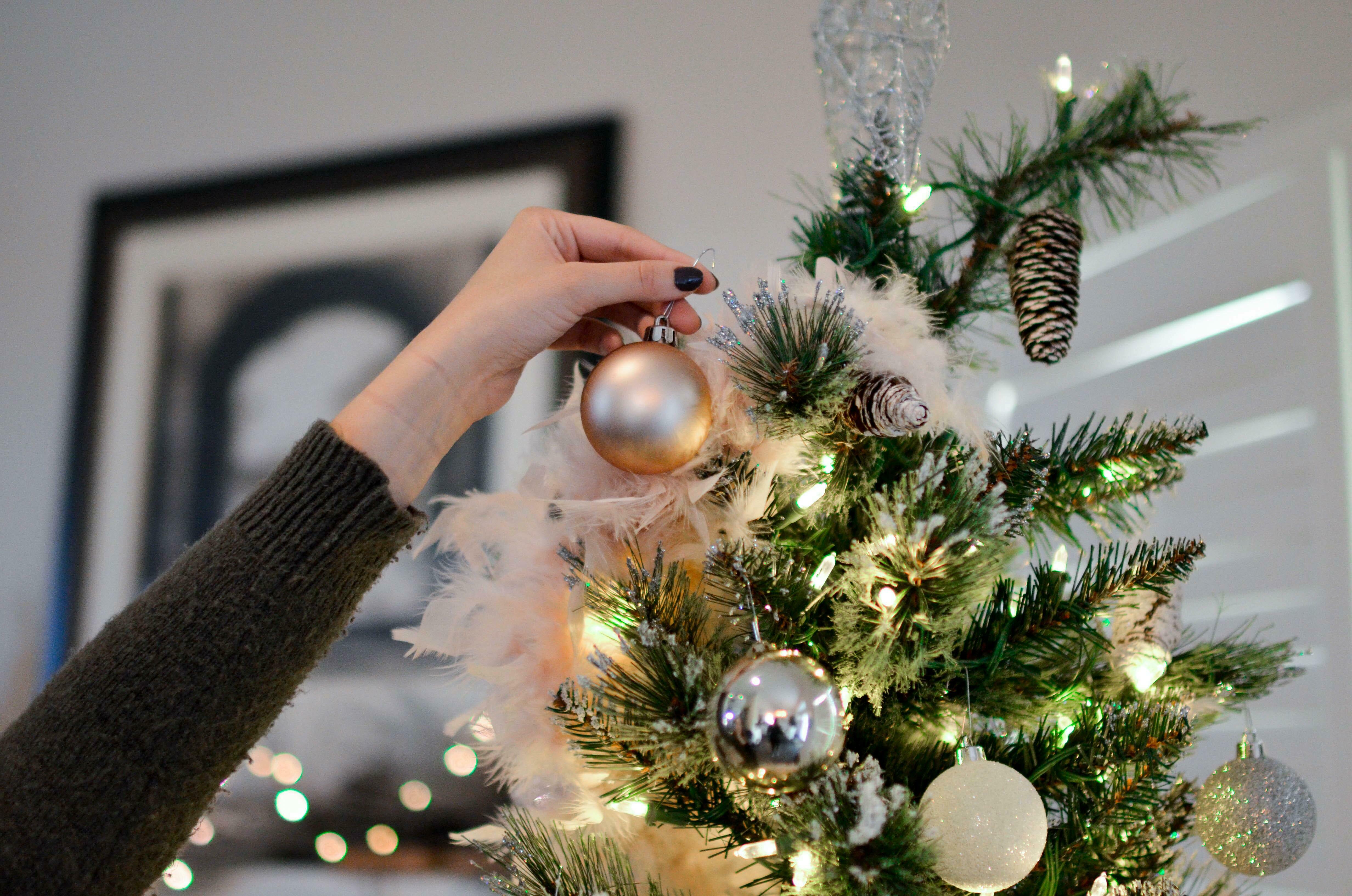 Order your Christmas Tree!