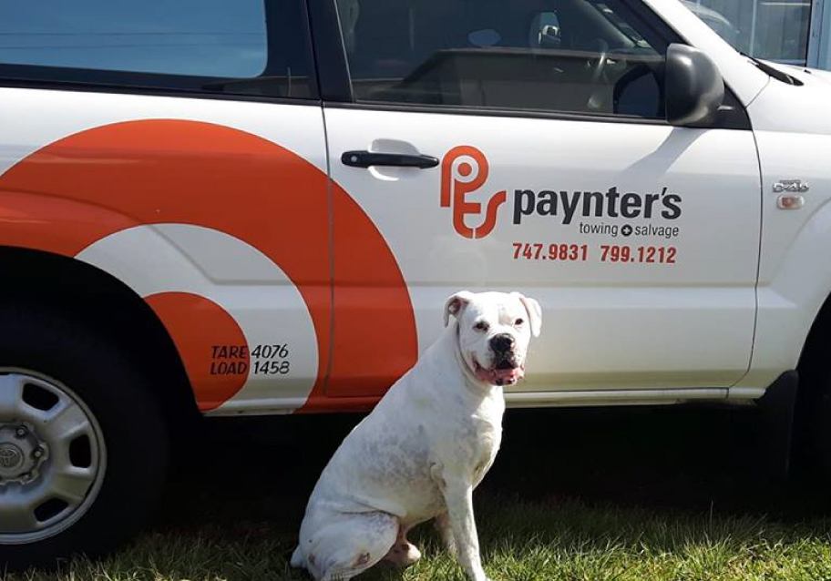 Paynter's Towing & Salvage
