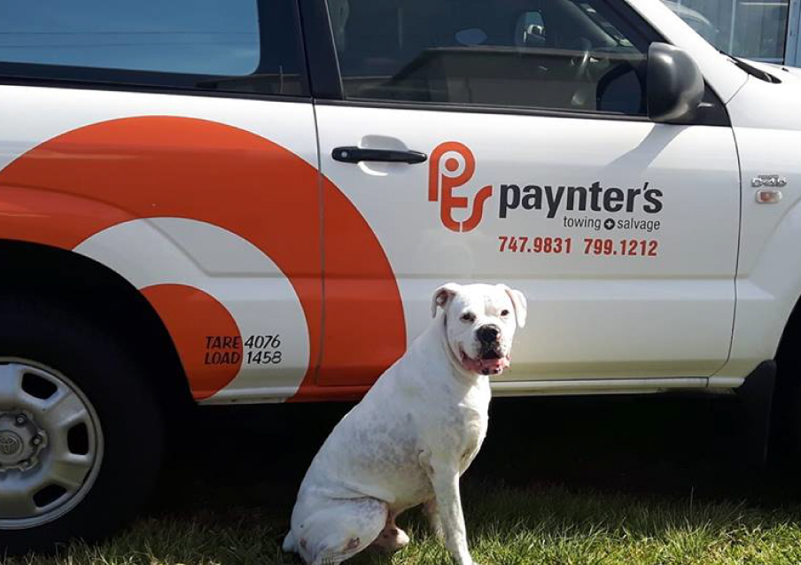 Paynter's Towing & Salvage