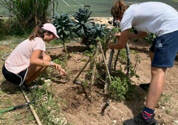 Bermuda Is Love - UMA Community Garden