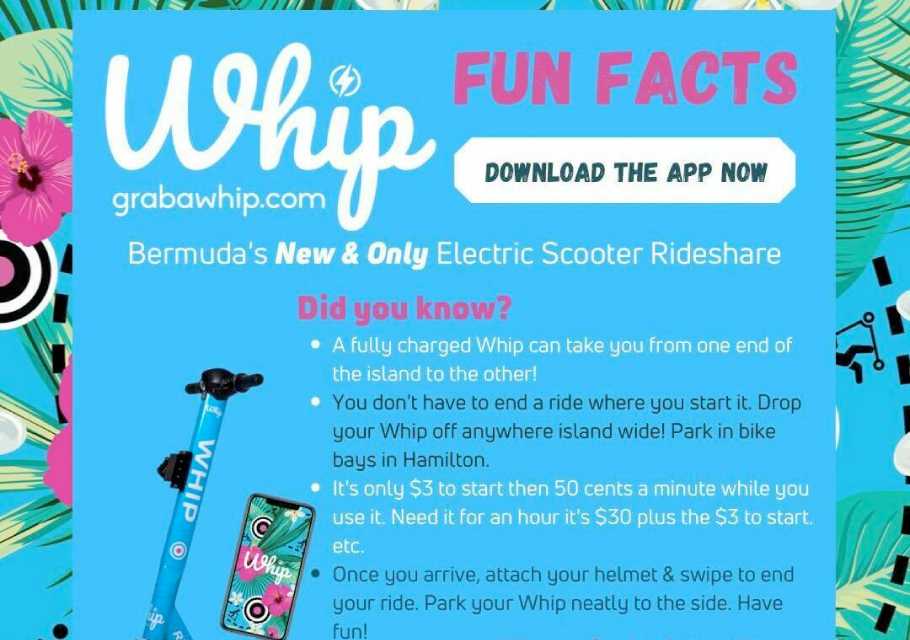 Whip Rideshare Bermuda