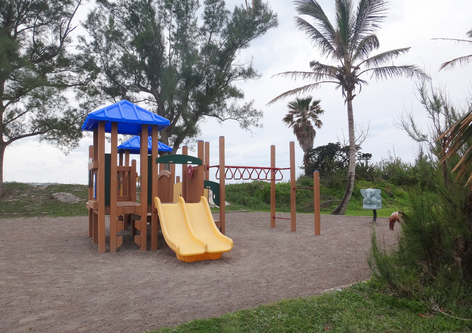 Shelly Bay Playground
