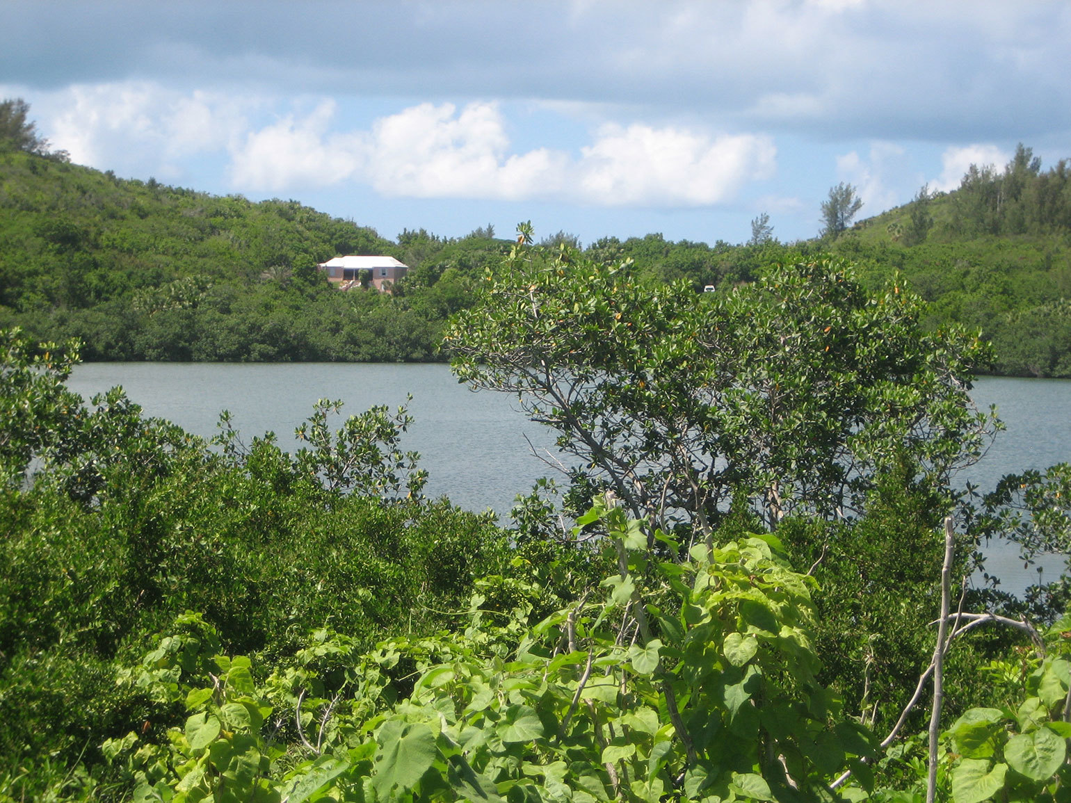 M.T. North Nature Reserve