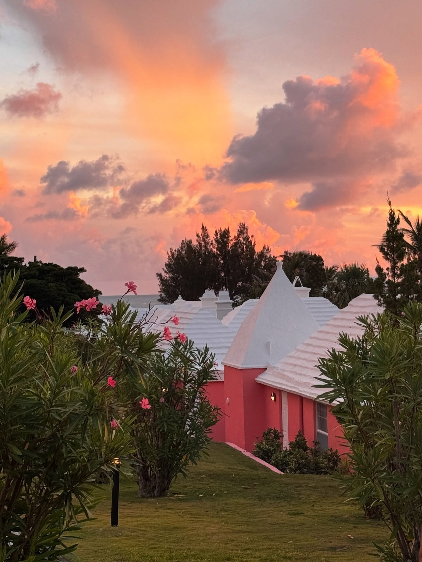 Pink Sale at Cambridge Beaches