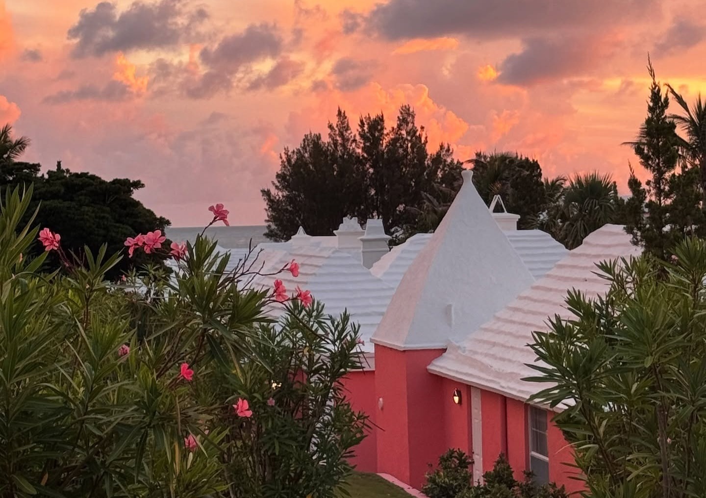Pink Sale at Cambridge Beaches