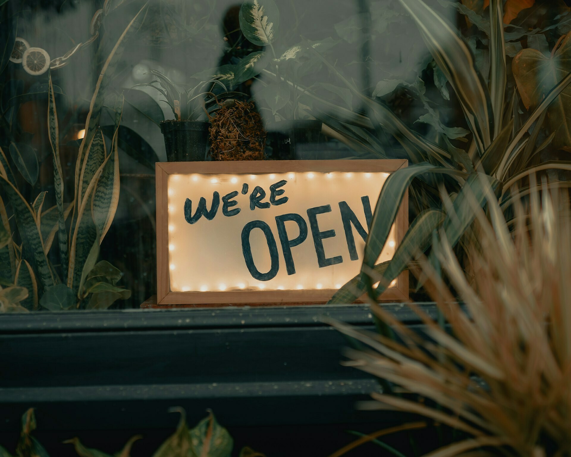 Bermuda Day 2025: Open Businesses List