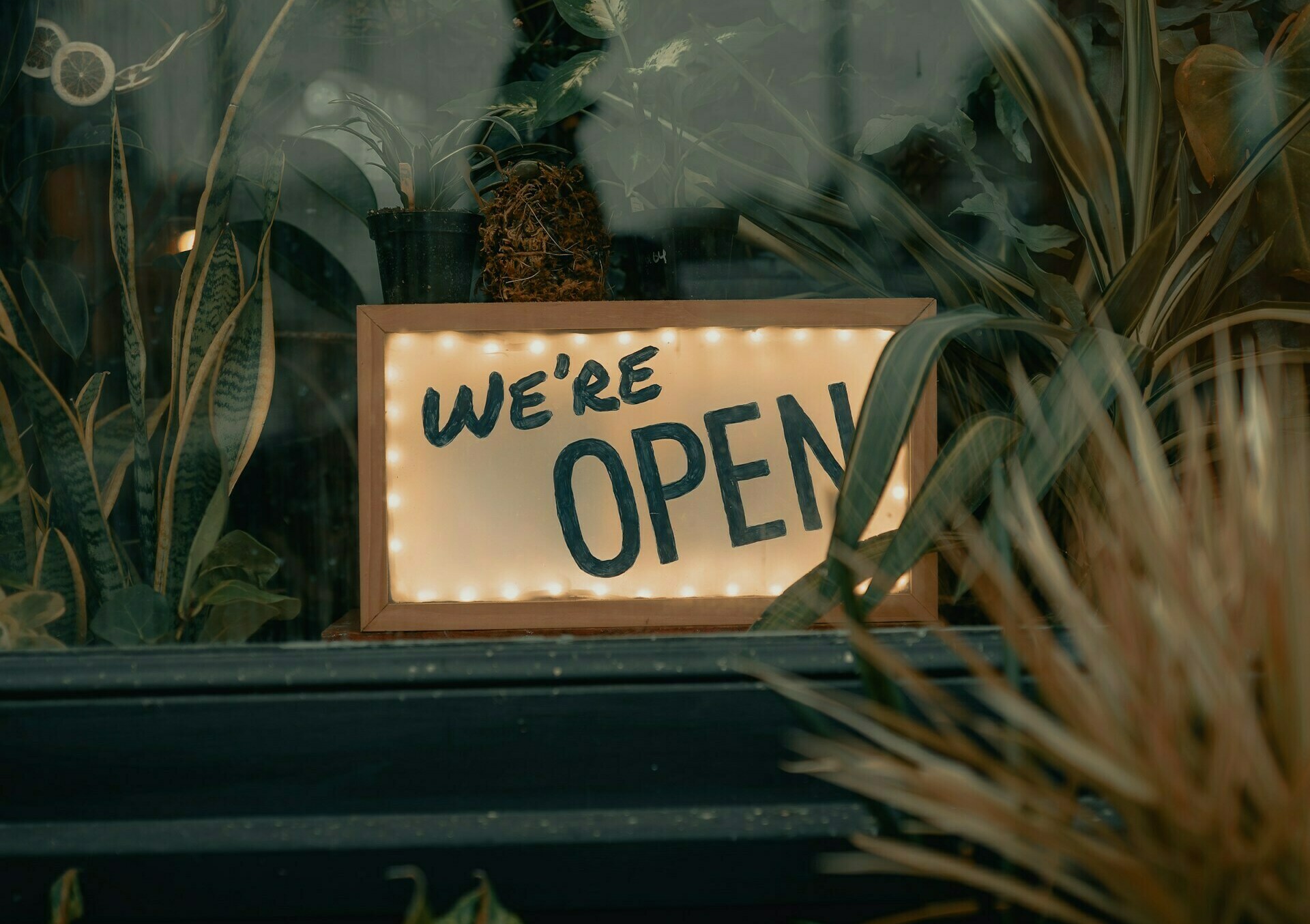 Bermuda Day 2025: Open Businesses List
