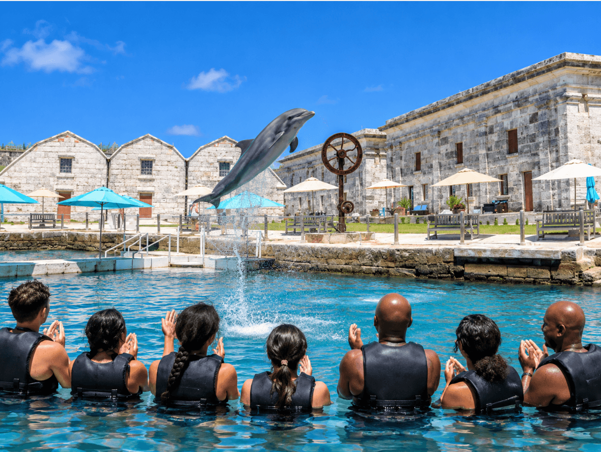 Dolphin Quest Bermuda Offers Residents 10% Off Interactive Programmes