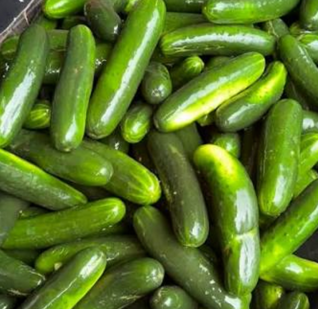 Pacheco & Sons Farms