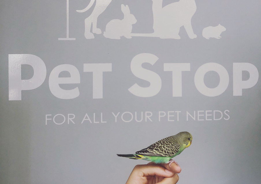 Pet Stop