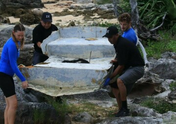 Keep Bermuda Beautiful: Monthly Clean-Ups 