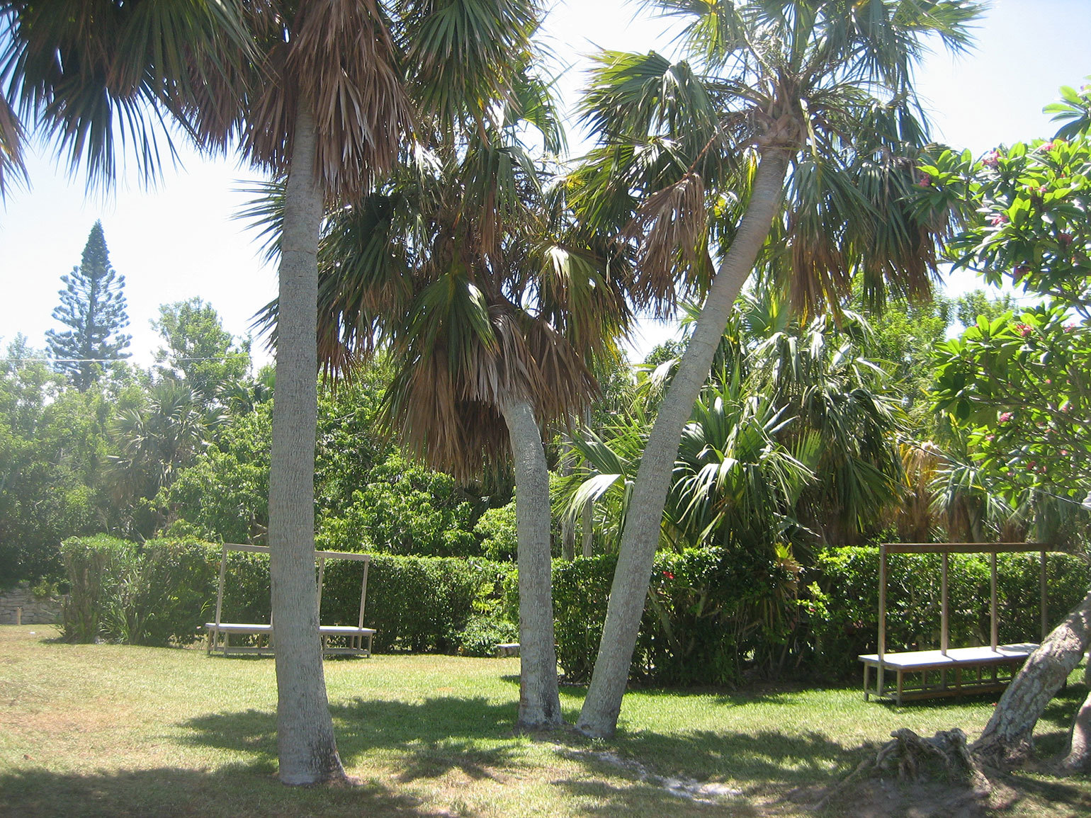 Gilbert's Nature Reserve Park