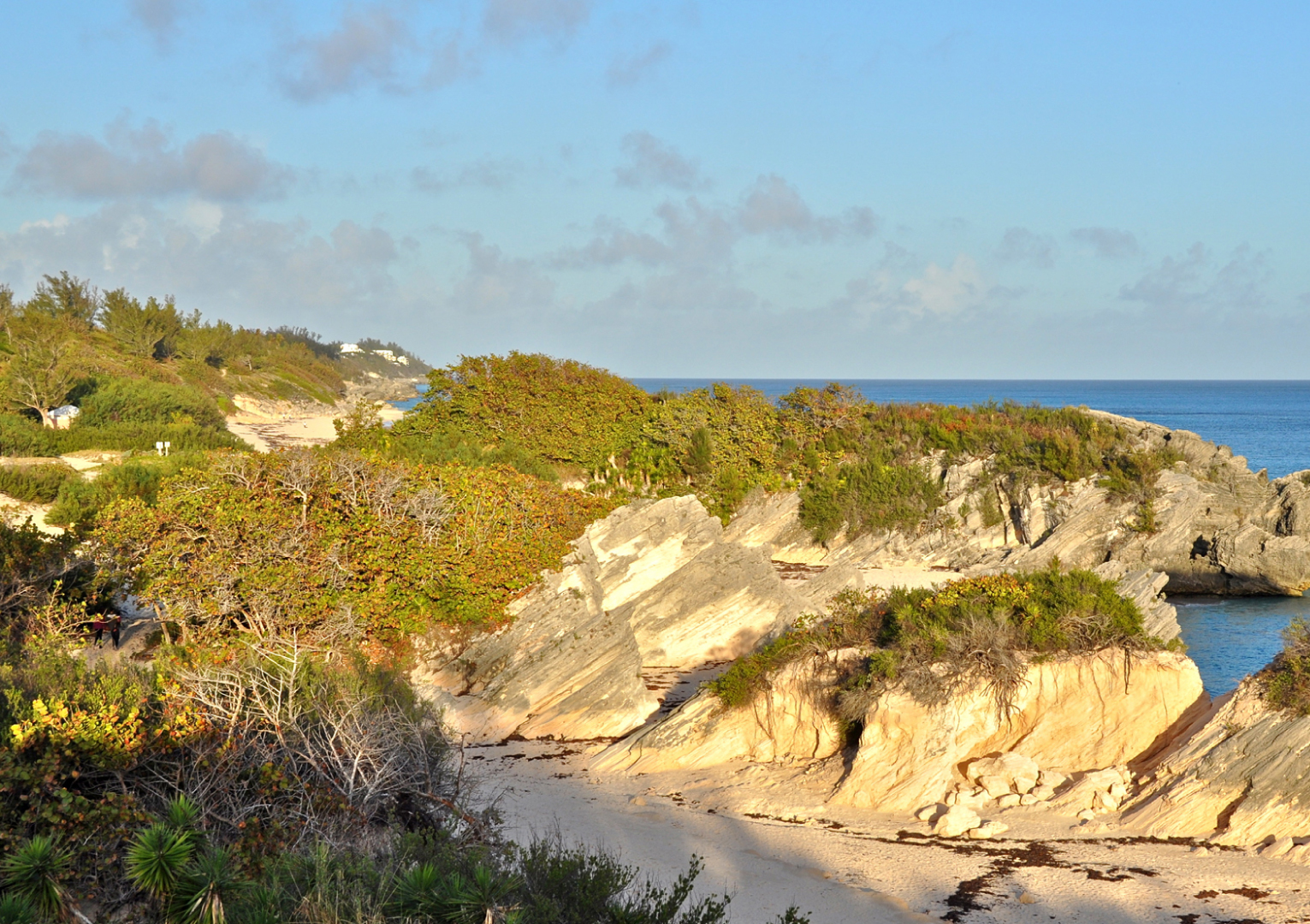 Chaplin Bay