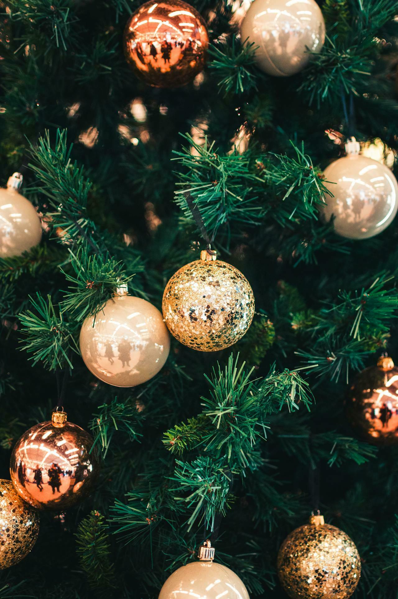 Holiday Fest - Call for Vendors!