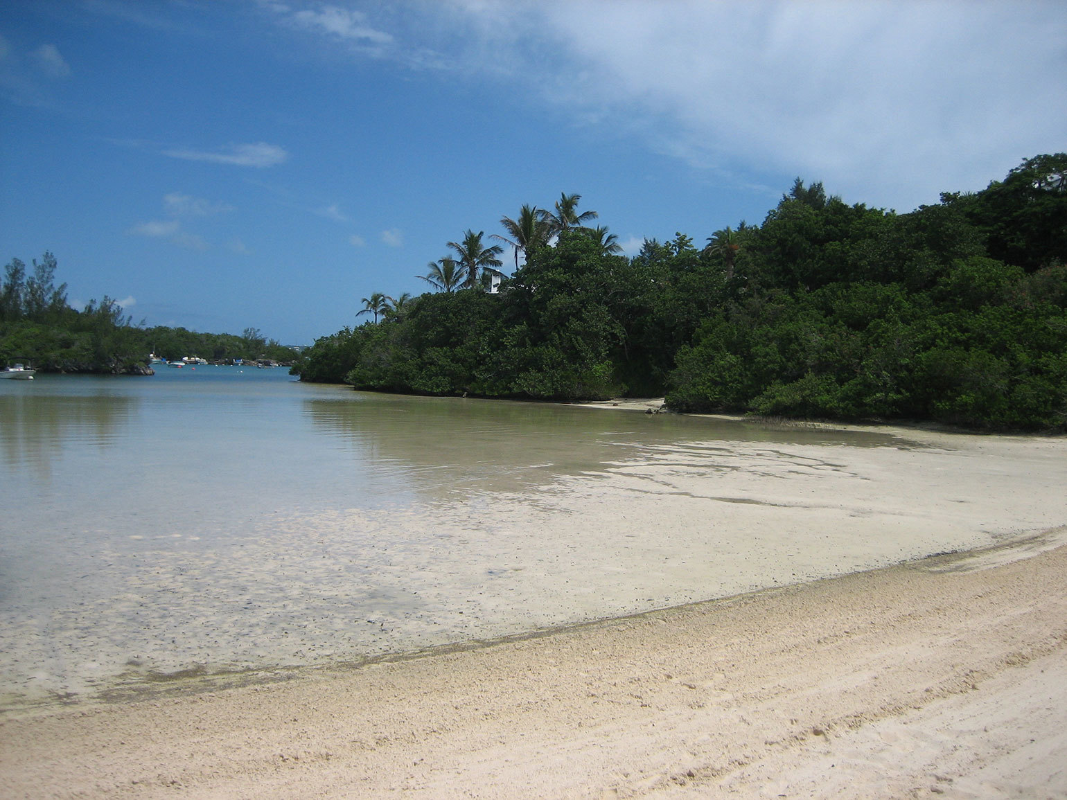 Mid-Ocean/Tucker's Point Beach