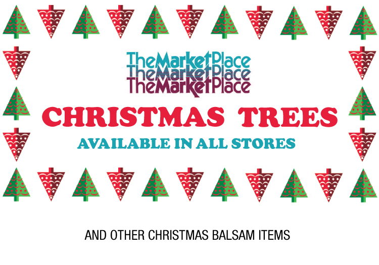 Large & Small Trees, Kissing Balls, Wreaths and more