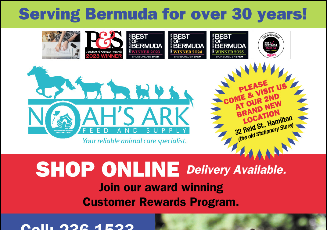 Noah's Ark Feed & Supply