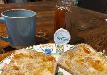 March at WindReach Farm Shop