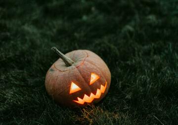 Nightmare on Penno’s Wharf