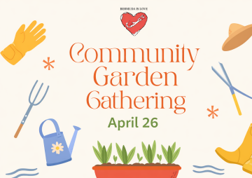 Bermuda Is Love: Community Garden Gathering