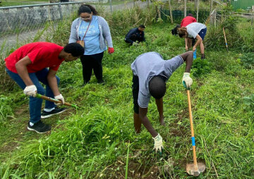 Bermuda Is Love - Informational Farming Tour with Just a Farmer