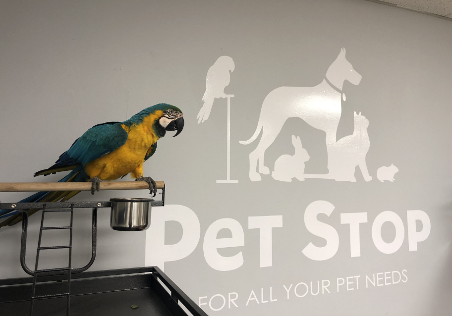 Pet Stop