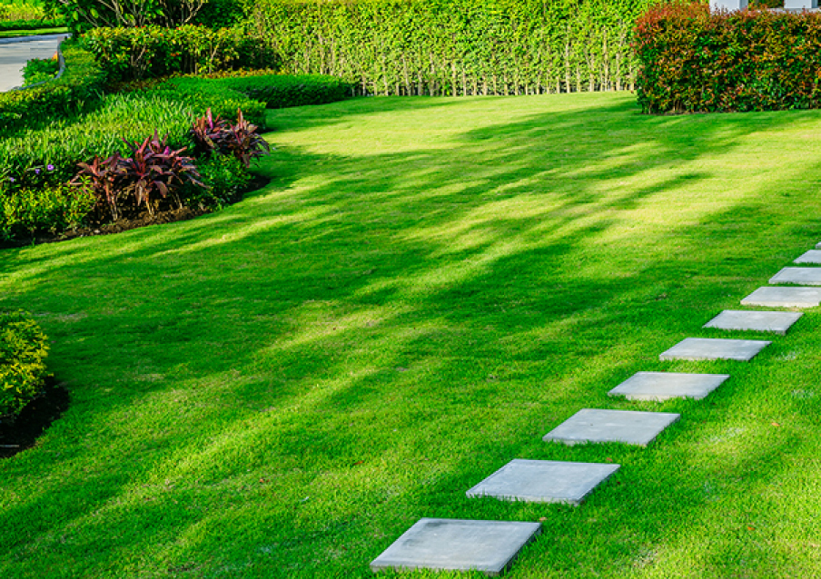 Green Acres Landscaping & Maintenance