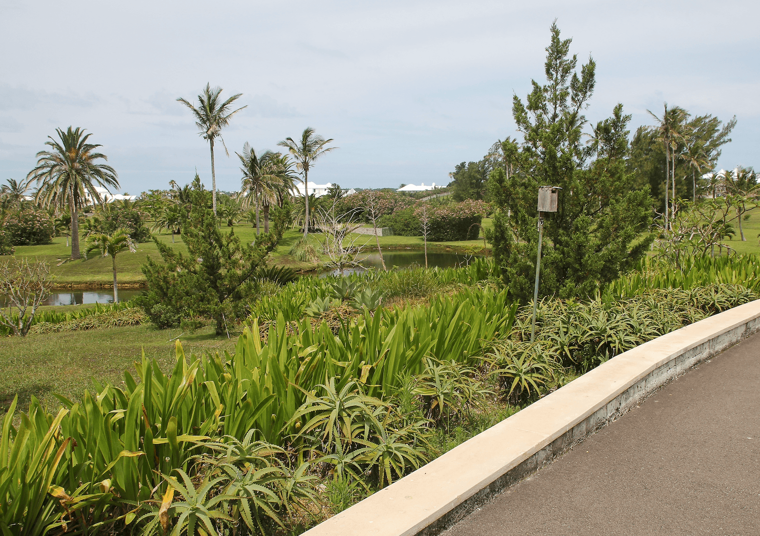 Riddell’s Bay Nature Reserve