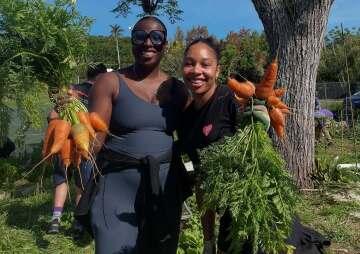 Bermuda Is Love — Community Garden: Grow food, Grow community