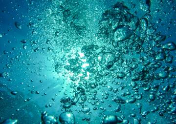  Bermuda Is Love: Climate Change & Ocean Futures Panel