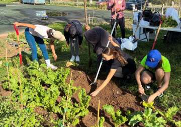 Bermuda Is Love Community Garden at T. N. Tatem