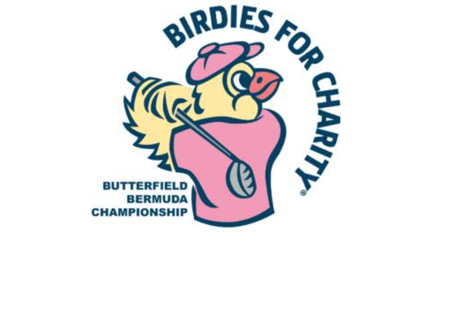Donate to Birdies for Charity