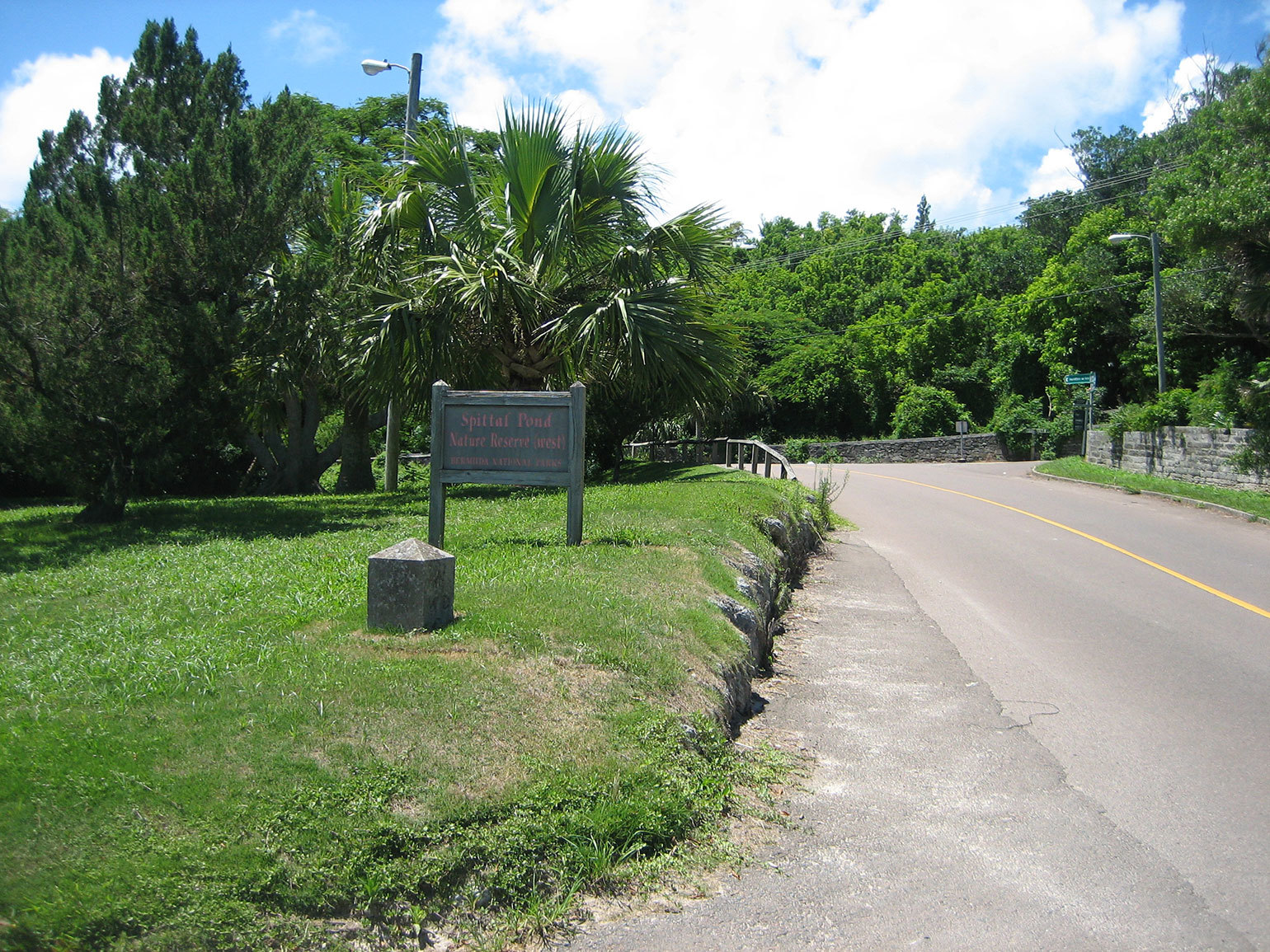Spittal Pond
