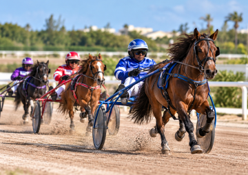 Driving Horse & Pony Club of Bermuda Harness Racing