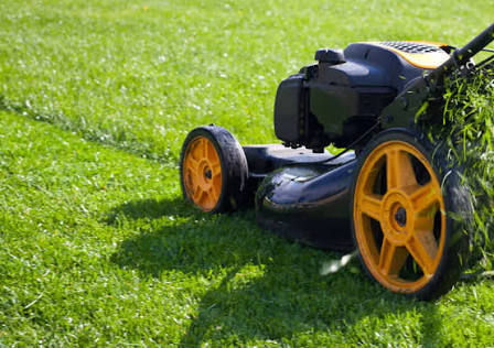 Mello Landscaping Ltd.