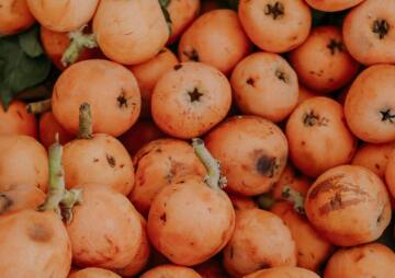 Bermuda Is Love Loquat Harvesting & Processing Drive