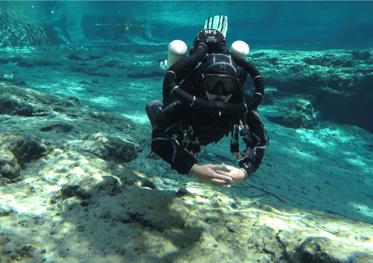 Eco Dive Bermuda