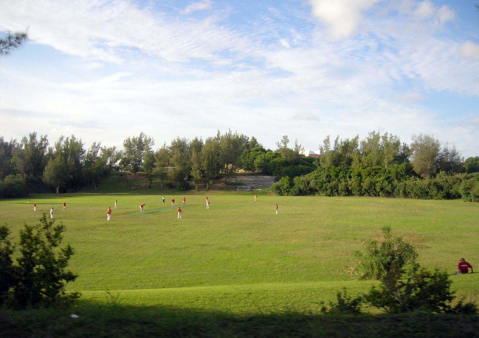 Shelly Bay Field