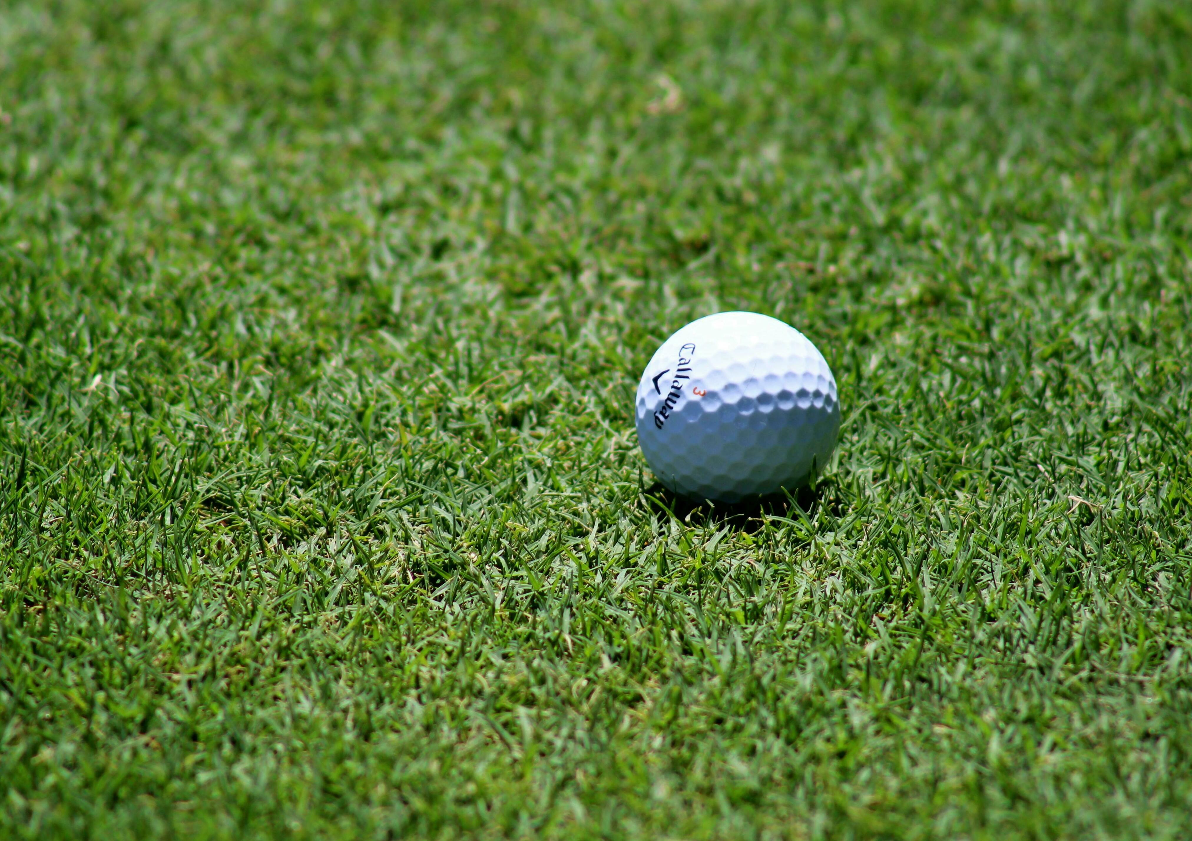New Date - Family Centre 35th Anniversary Charity Golf Anniversary