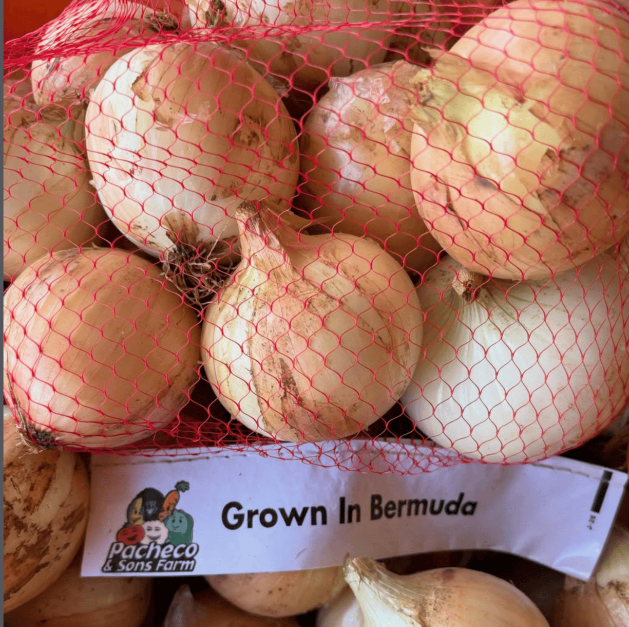 Pacheco & Sons Farms