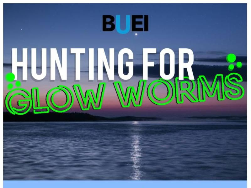 Hunting for Glow Worms Cruises, July 18th & 19th 