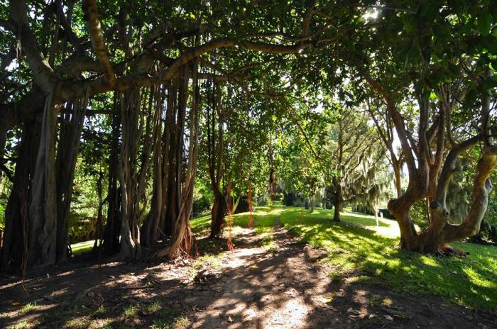 The Property Group Ltd