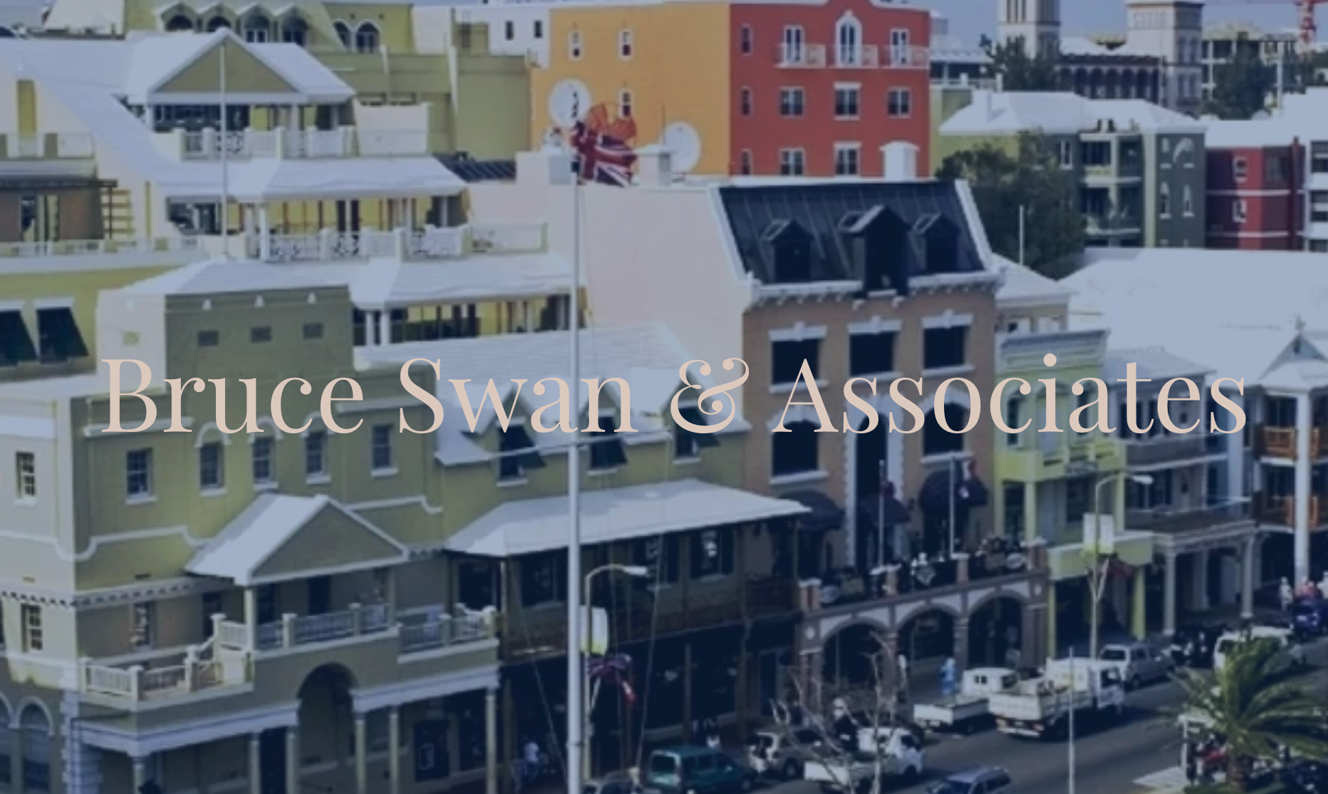 Bruce Swan & Associates